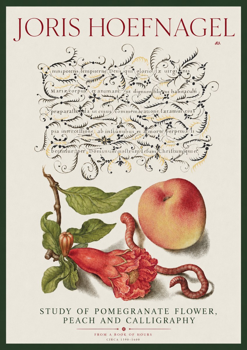 Joris Hoefnagel Study of Pomegranate Flower, Peach and Calligraphy from a Book of Hours No2 - Poster