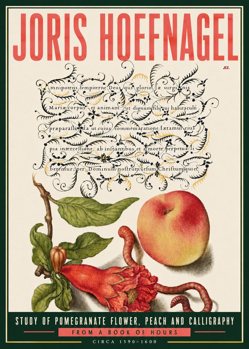 Joris Hoefnagel Study of Pomegranate Flower, Peach and Calligraphy from a Book of Hours No6 - Poster