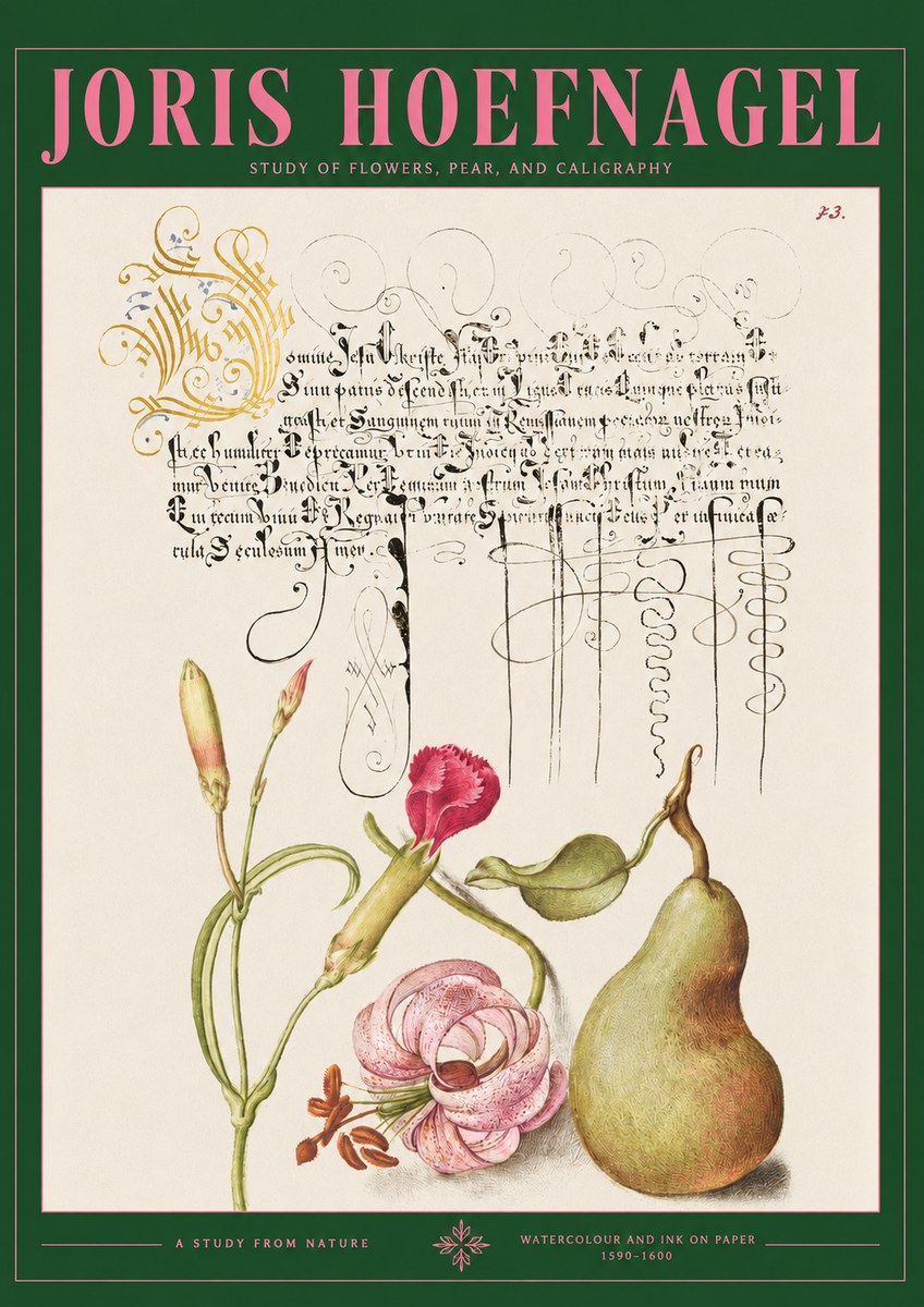 Joris Hoefnagel Botanical Study with Calligraphy II No3 - Poster
