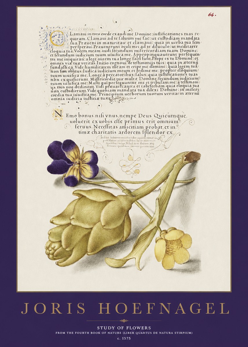 Joris Hoefnagel Botanical Study with Calligraphy III No3 - Poster