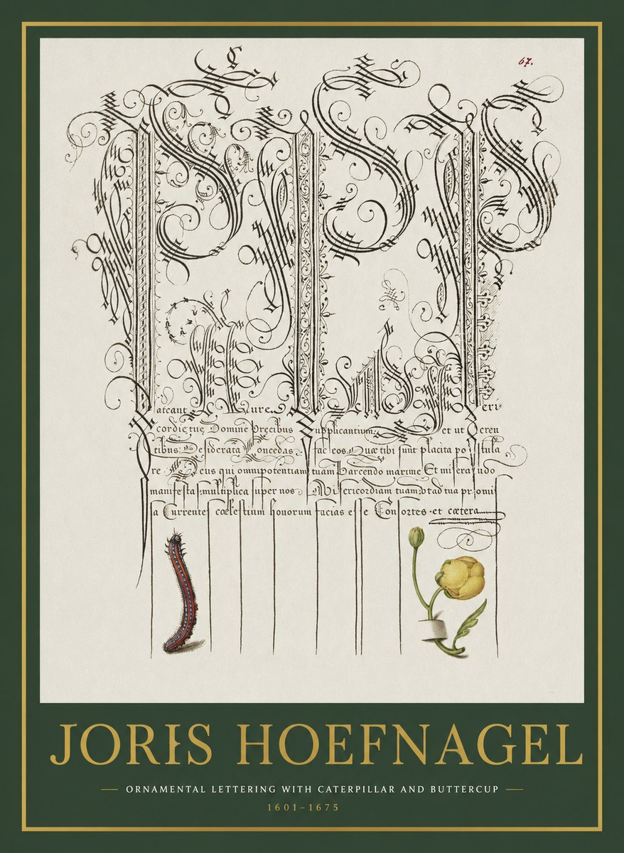 Joris Hoefnagel Ornamental Calligraphy with Caterpillar and Buttercup No2 - Poster