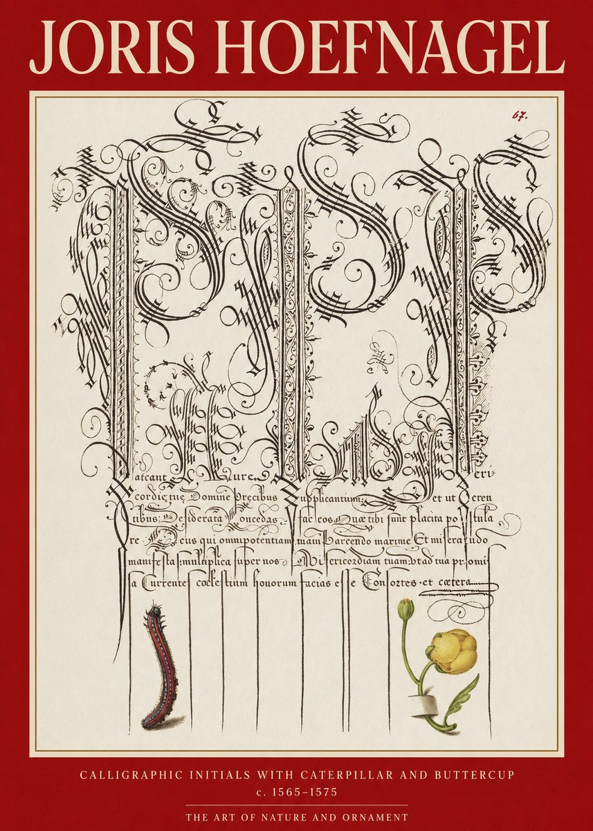 Joris Hoefnagel Ornamental Calligraphy with Caterpillar and Buttercup No6 - Poster