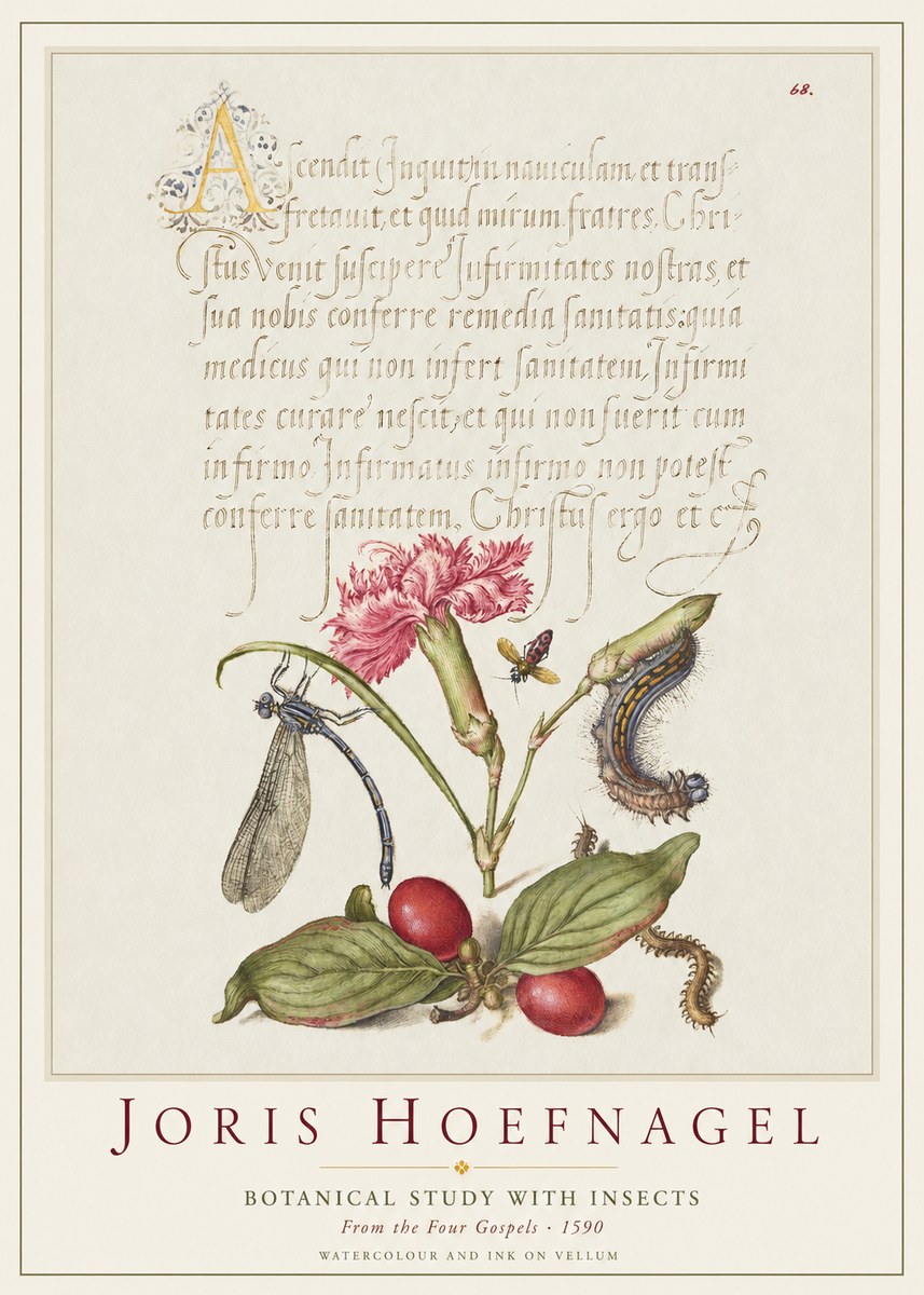 Joris Hoefnagel Botanical Study with Insects No1 - Poster
