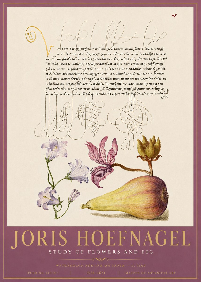 Joris Hoefnagel Study of Plants II No5 - Poster