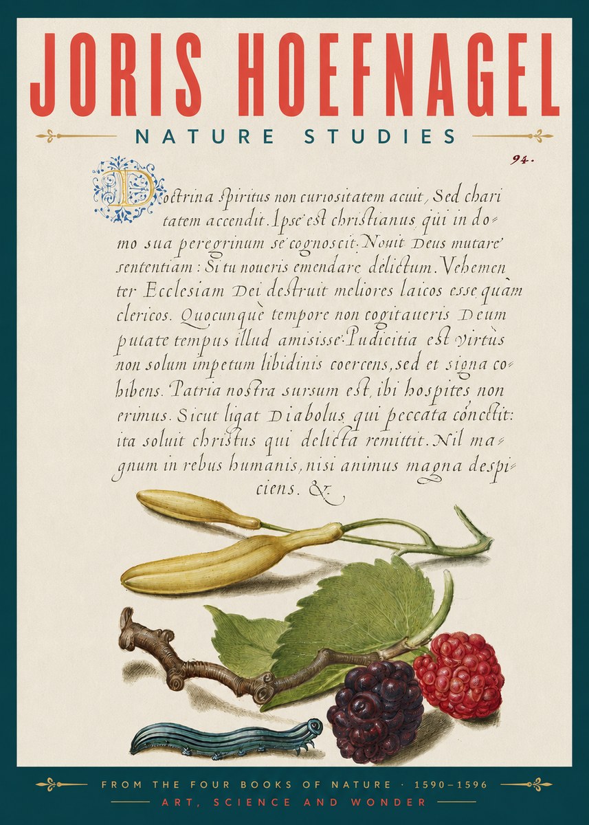 Joris Hoefnagel Nature Studies No5 - Poster