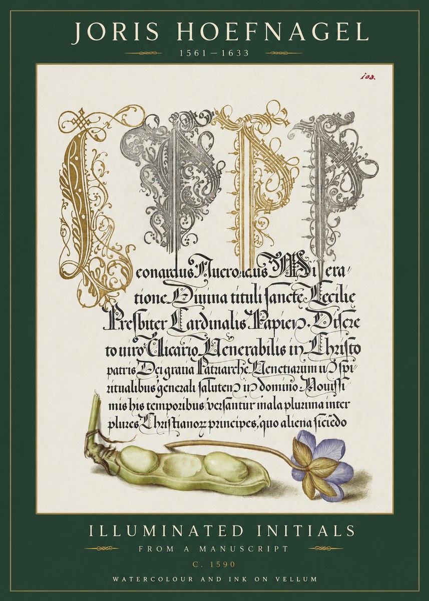 Joris Hoefnagel Illuminated Initials with Peapod and Flower No2 - Poster