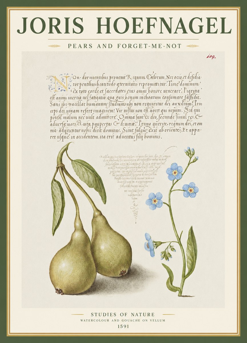 Joris Hoefnagel Pears and Forget-me-not No1 - Poster