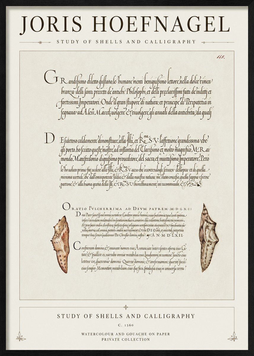 Joris Hoefnagel Study of Shells and Calligraphy No1 - Poster