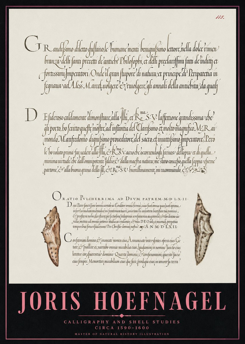Joris Hoefnagel Study of Shells and Calligraphy No5 - Poster