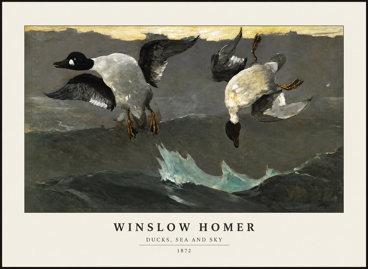 Winslow Homer Ducks, Sea and Sky No1 - Poster