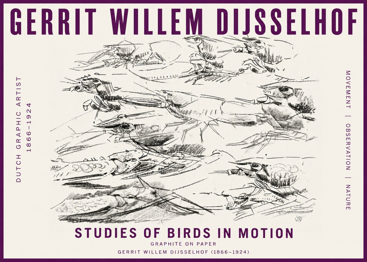Gerrit Willem Dijsselhof Studies of Birds in Motion No5 - Poster