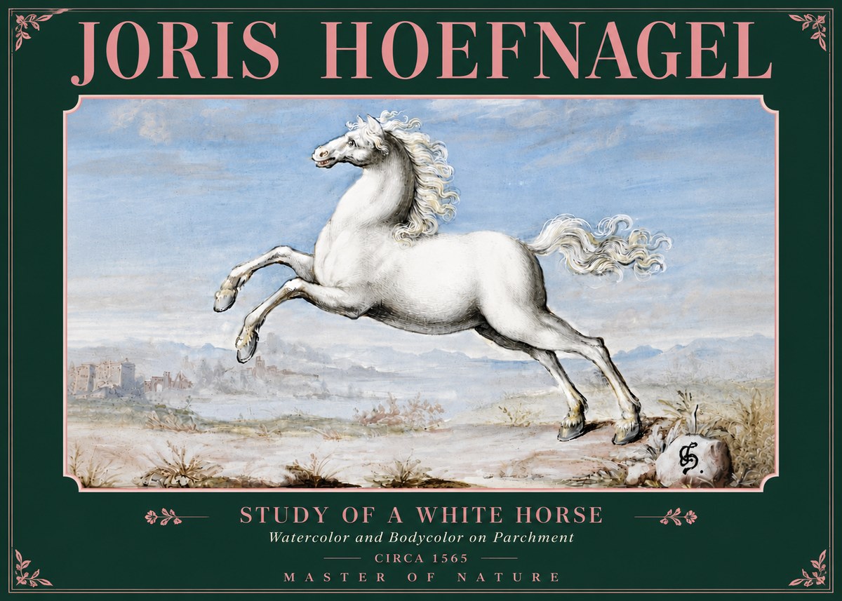 Joris Hoefnagel Study of a White Horse No5 - Poster