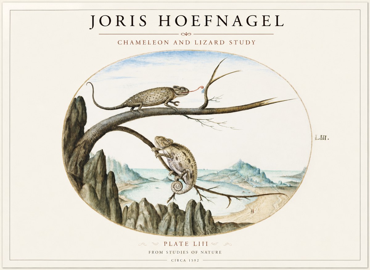 Joris Hoefnagel Chameleon and Lizard No2 - Poster