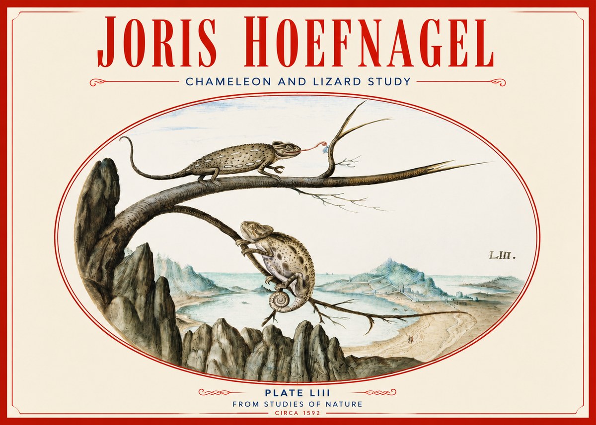 Joris Hoefnagel Chameleon and Lizard No4 - Poster