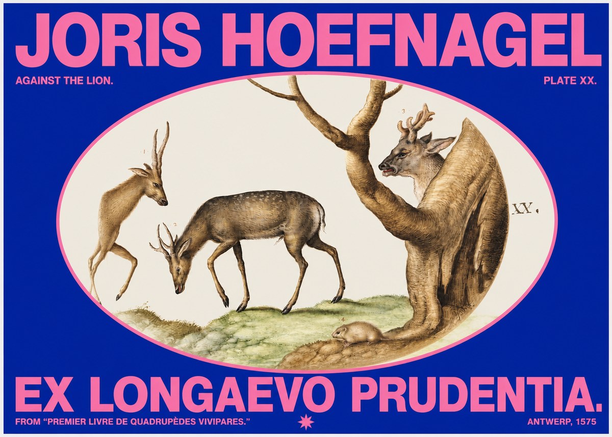 Joris Hoefnagel Do Not Rush Against the Lion. No6 - Poster