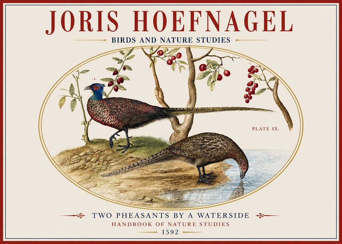 Joris Hoefnagel Peacocks and Pheasants Among Fruiting Branches No4 - Poster