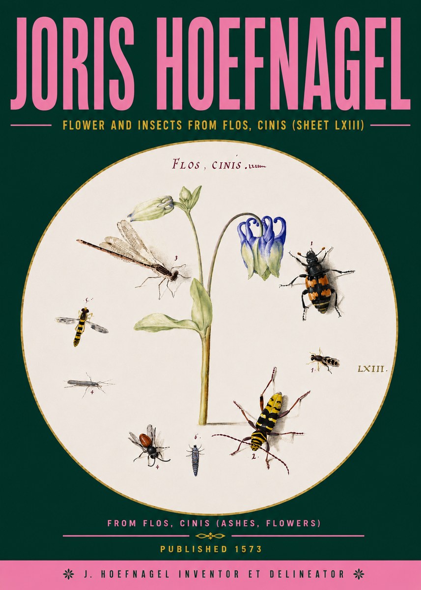 Joris Hoefnagel Insects and a Flower Study No6 - Poster