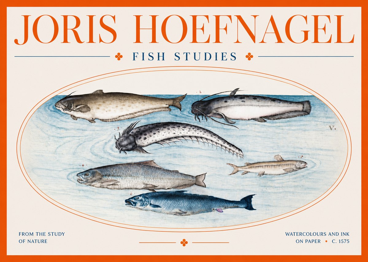 Joris Hoefnagel Fish of the Waters No3 - Poster