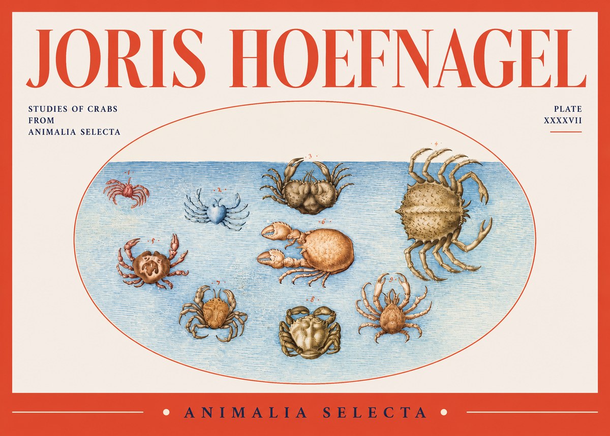 Joris Hoefnagel Studies of Crabs No2 - Poster