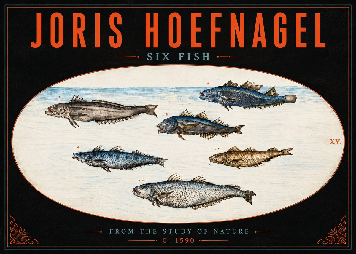 Joris Hoefnagel Six Fish No5 - Poster