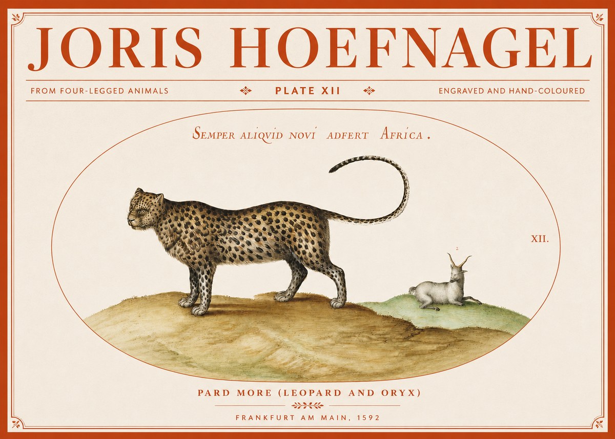Joris Hoefnagel Pard More (Leopard and Oryx) No3 - Poster