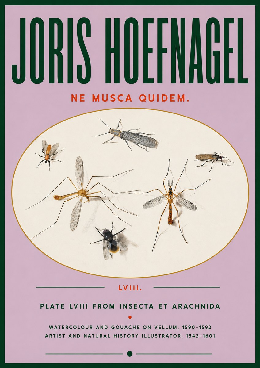 Joris Hoefnagel Plate Lviii from Insecta Et Arachnida No4 - Poster