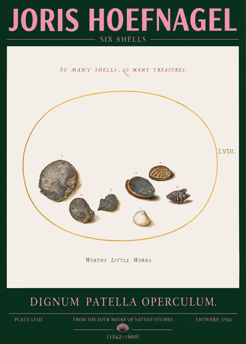Joris Hoefnagel Six Shells No2 - Poster