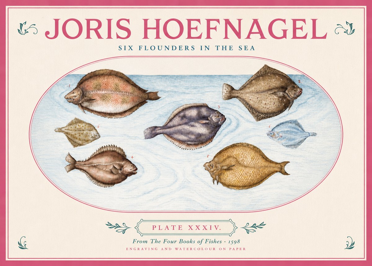 Joris Hoefnagel Six Flounders in the Sea No2 - Poster