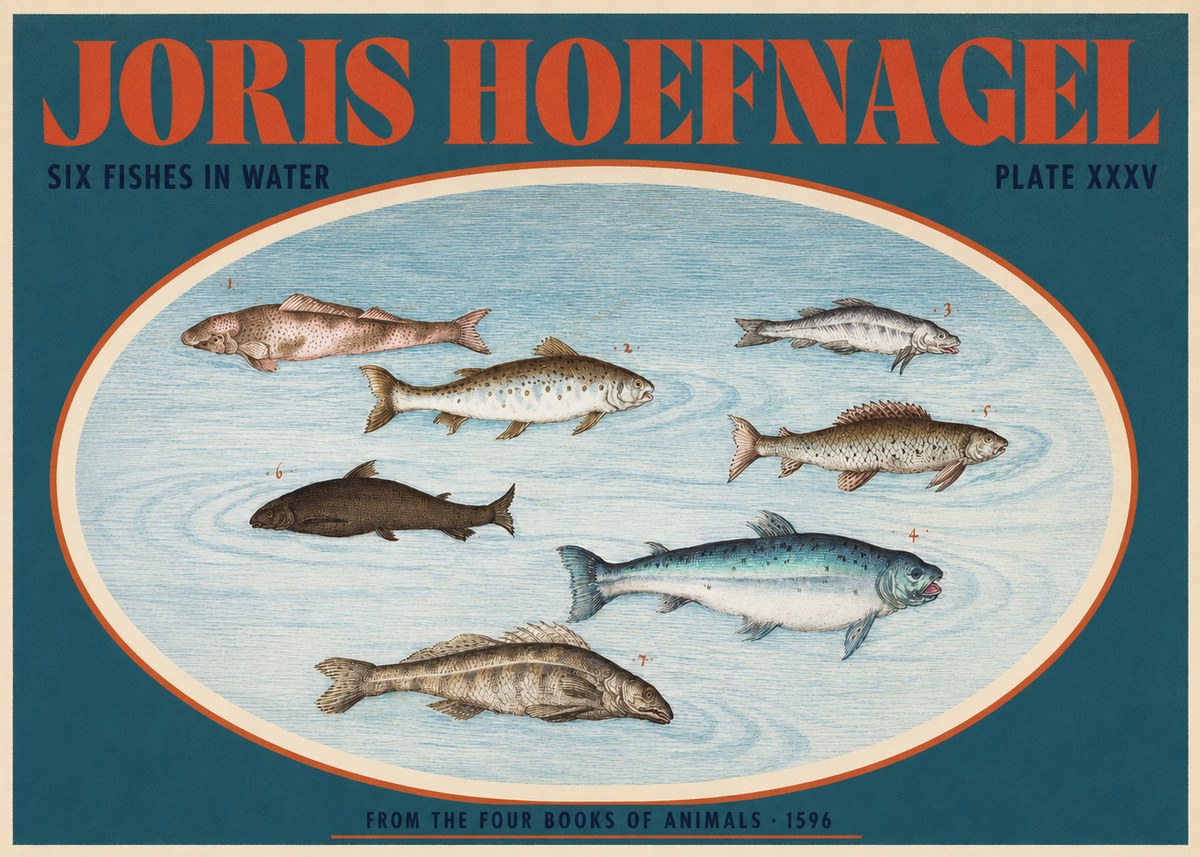 Joris Hoefnagel Six Fishes in Water I No2 - Poster