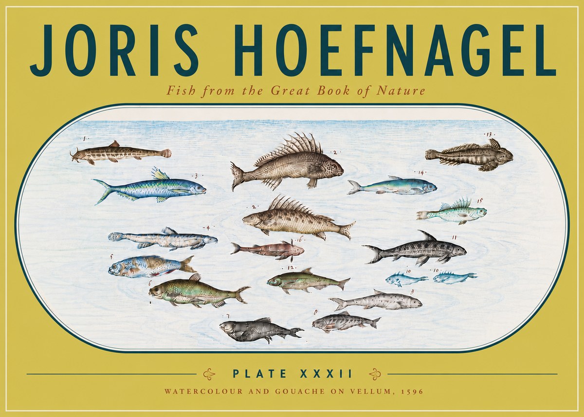 Joris Hoefnagel Fish from the Great Book of Nature No6 - Poster