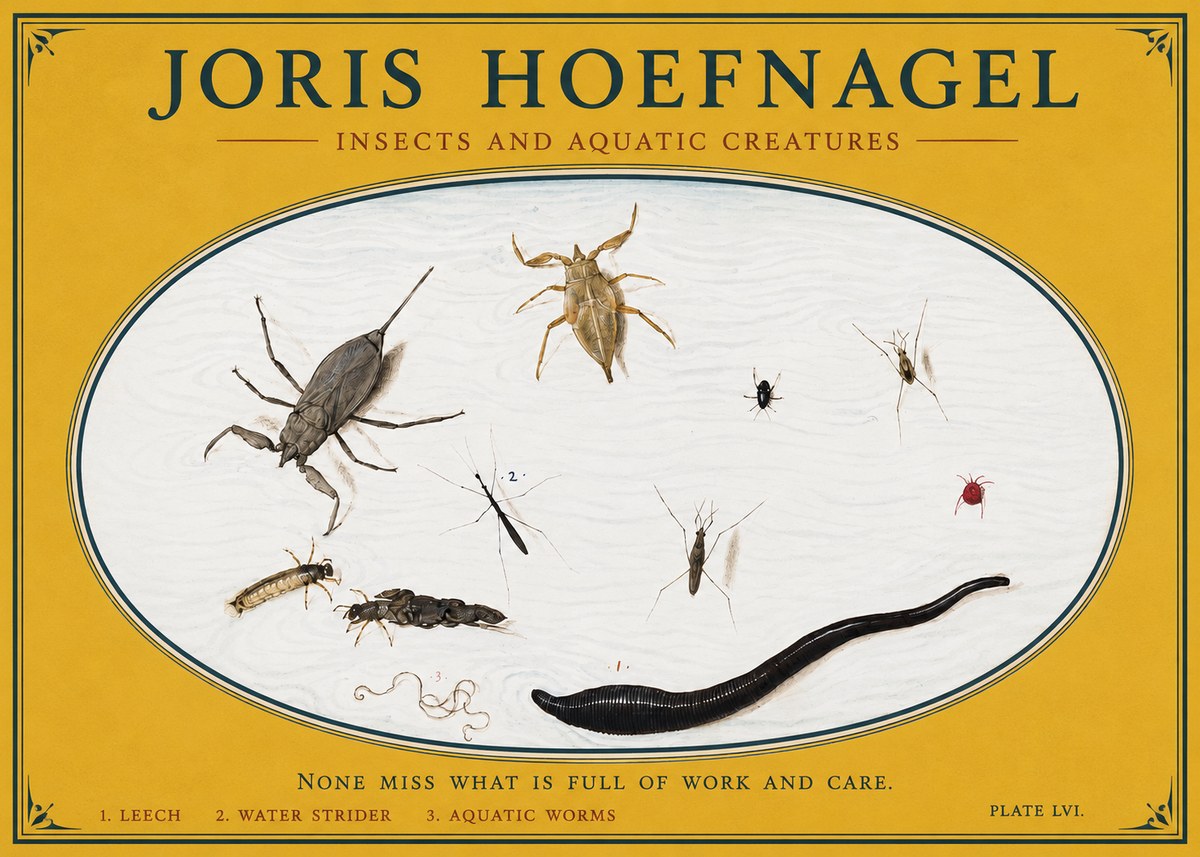 Joris Hoefnagel Insects and Aquatic Creatures No3 - Poster