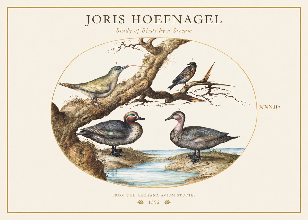 Joris Hoefnagel Study of Birds by a Stream No1 - Poster