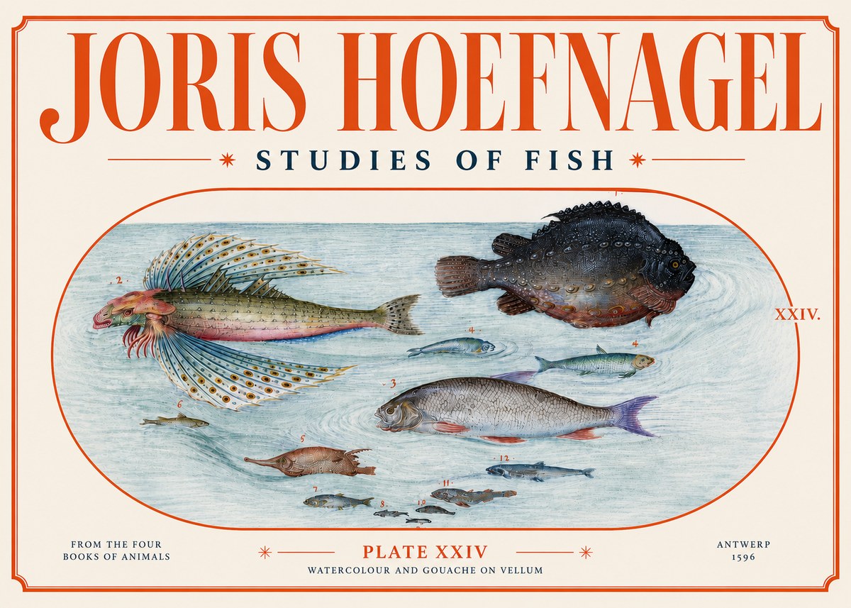 Joris Hoefnagel Studies of Fish II No4 - Poster