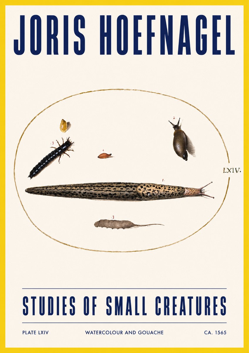Joris Hoefnagel Plate Lxiv No3 - Poster