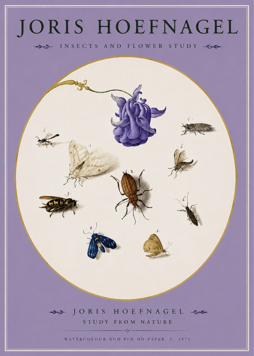 Joris Hoefnagel Studies of Insects and Flowers No3 - Poster