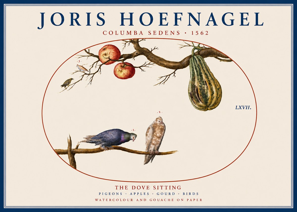 Joris Hoefnagel Pigeons Sitting. No5 - Poster