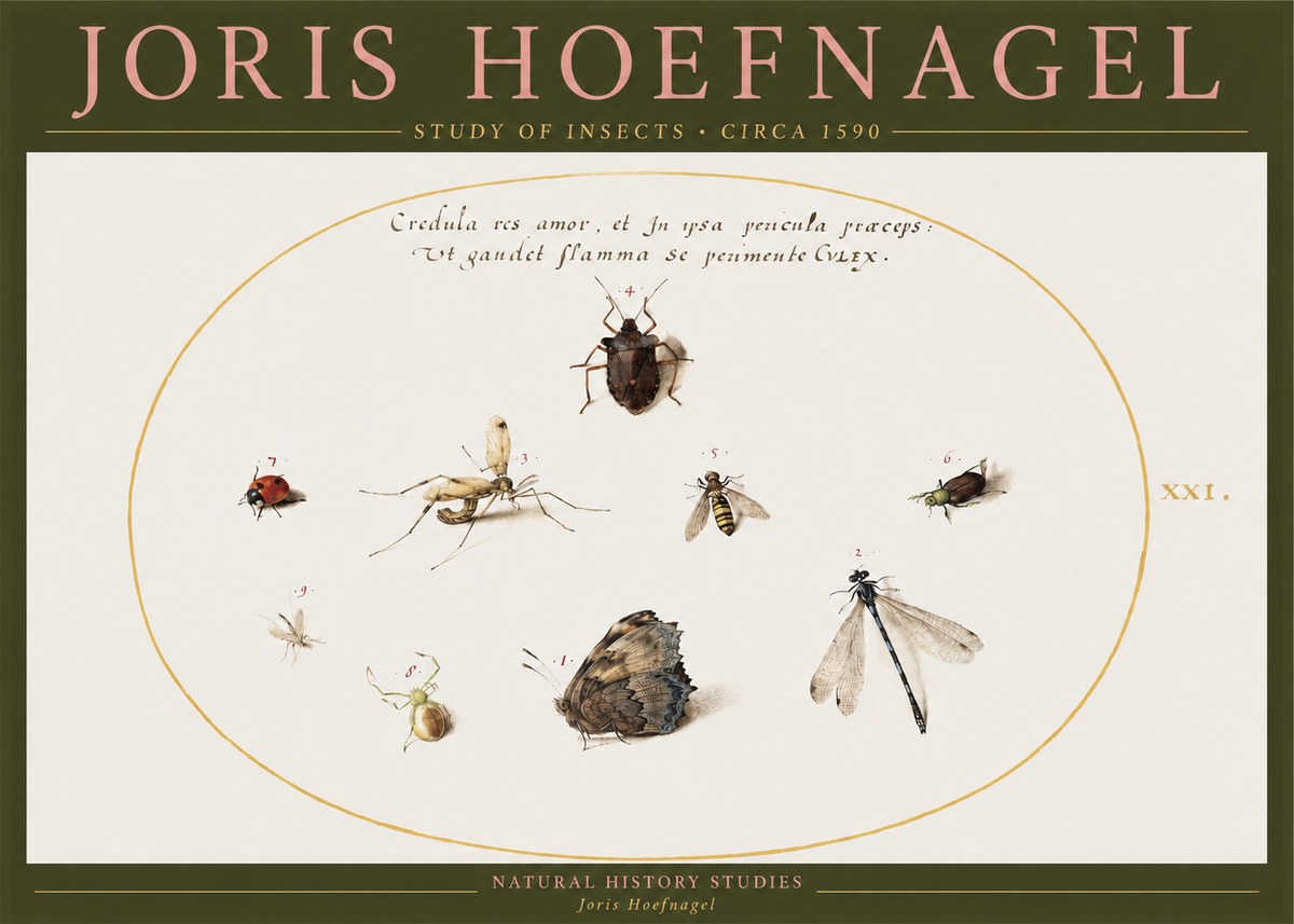 Joris Hoefnagel Study of Insects • Circa 1590 No2 - Poster