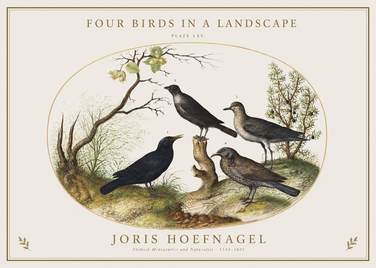 Joris Hoefnagel Four Birds in a Landscape No1 - Poster