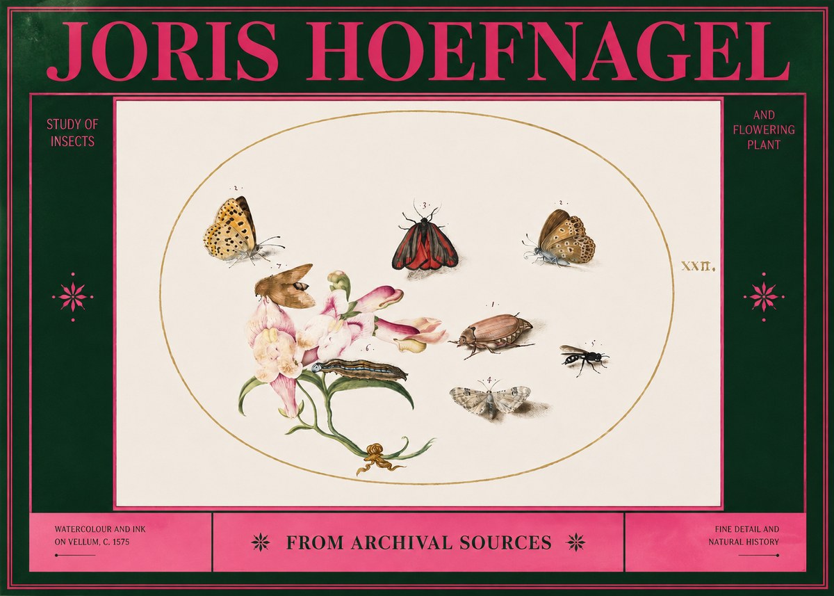 Joris Hoefnagel Study of Insects and Flowering Plant No2 - Poster