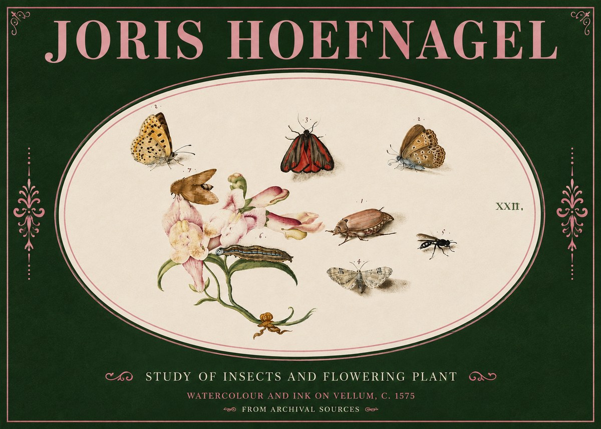 Joris Hoefnagel Study of Insects and Flowering Plant No4 - Poster