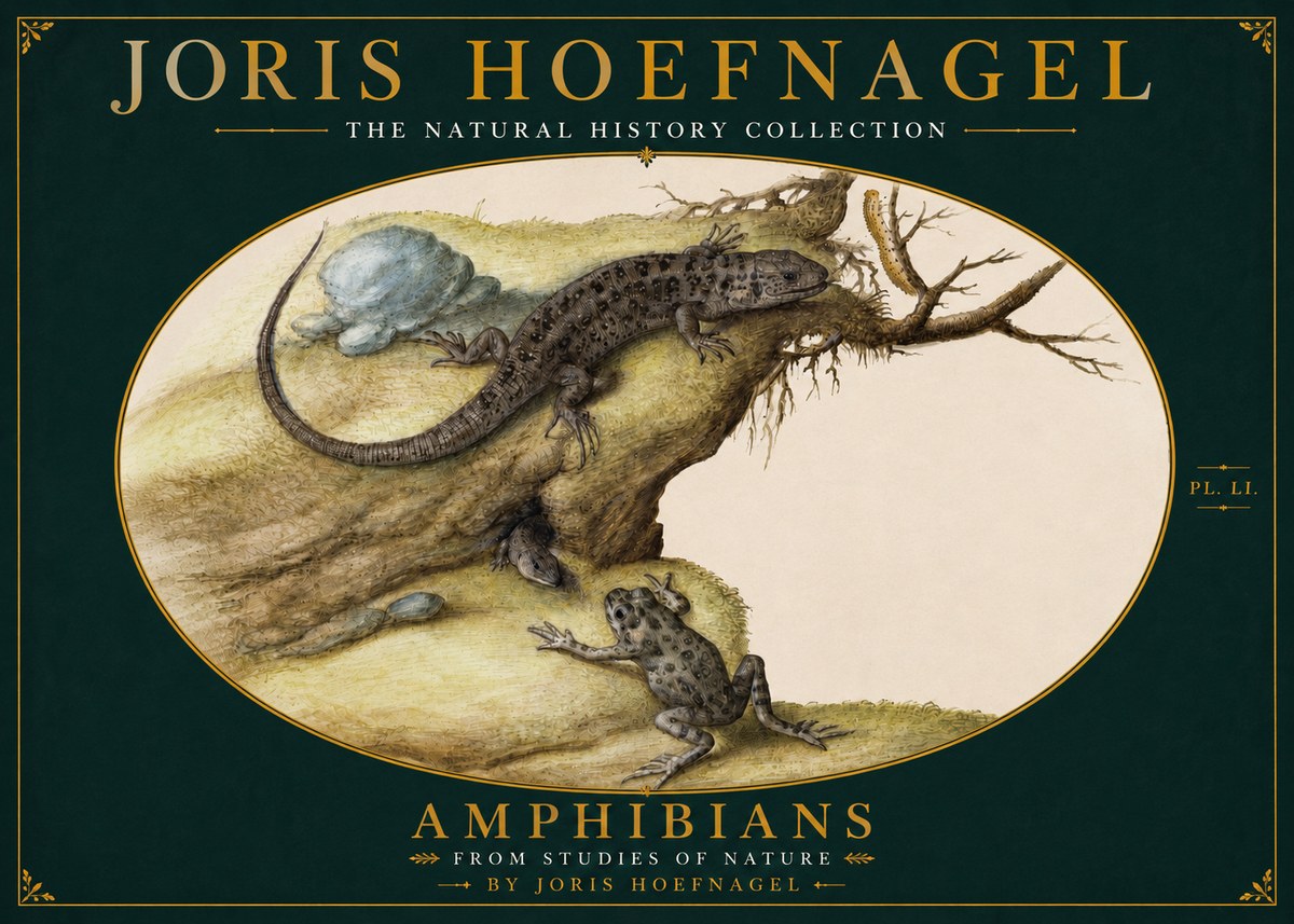 Joris Hoefnagel Amphibians from Studies of Nature No4 - Poster