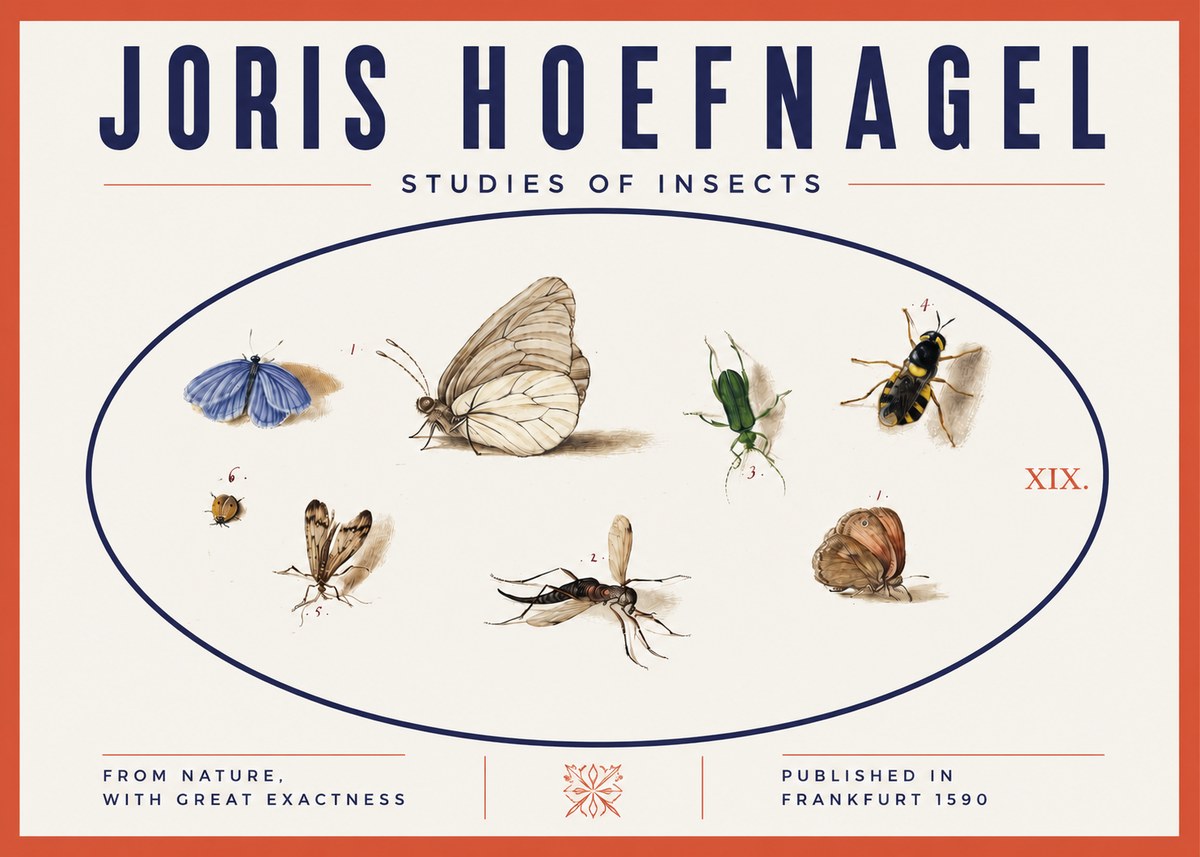 Joris Hoefnagel Studies of Insects V No3 - Poster