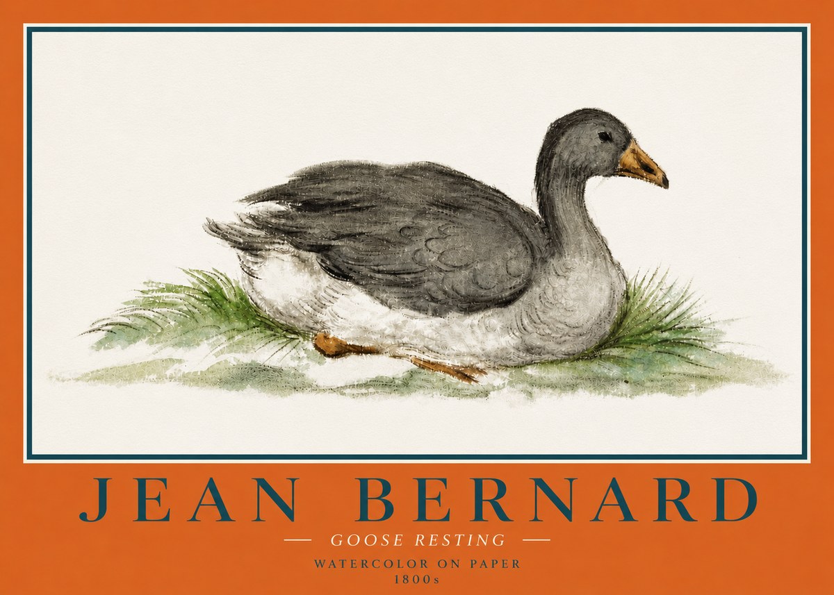 Jean Bernard Goose Resting No4 - Poster