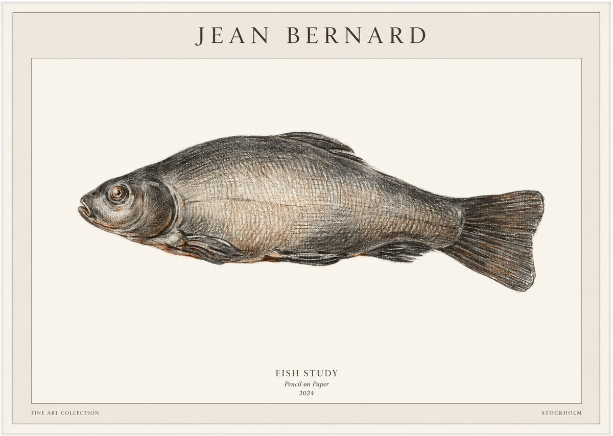 Jean Bernard Fish Study IV No1 - Poster