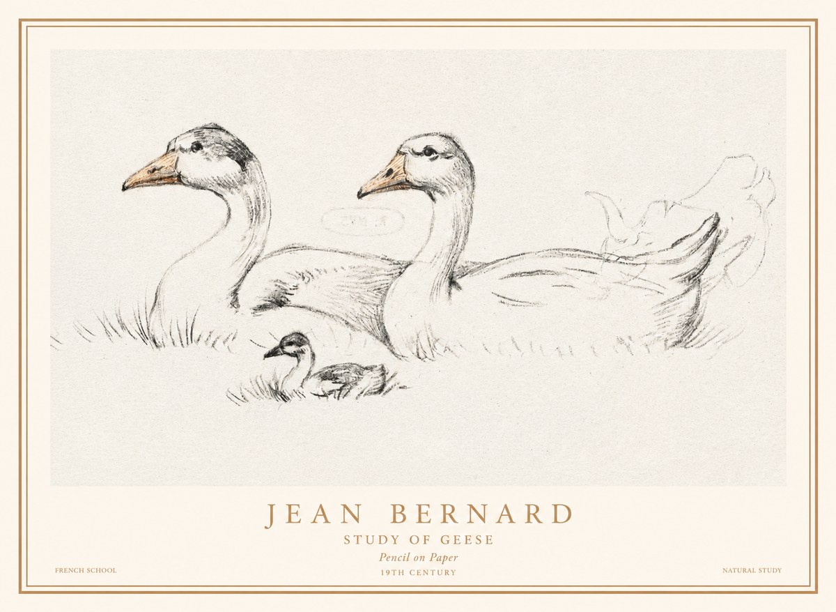 Jean Bernard Study of Geese No1 - Poster