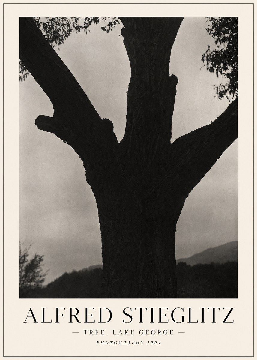 Alfred Stieglitz Tree - Lake George, 1921 No5 - Poster