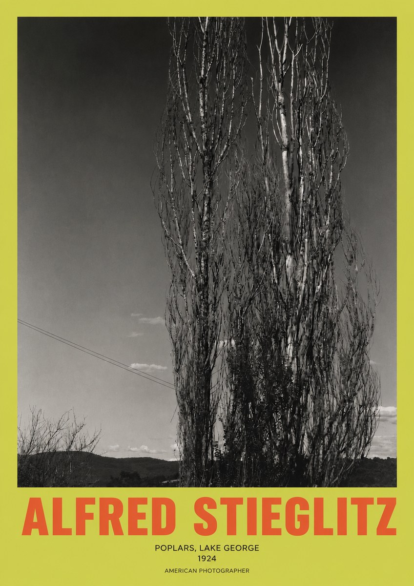 Alfred Stieglitz Trees - Lake George, 1921 No3 - Poster