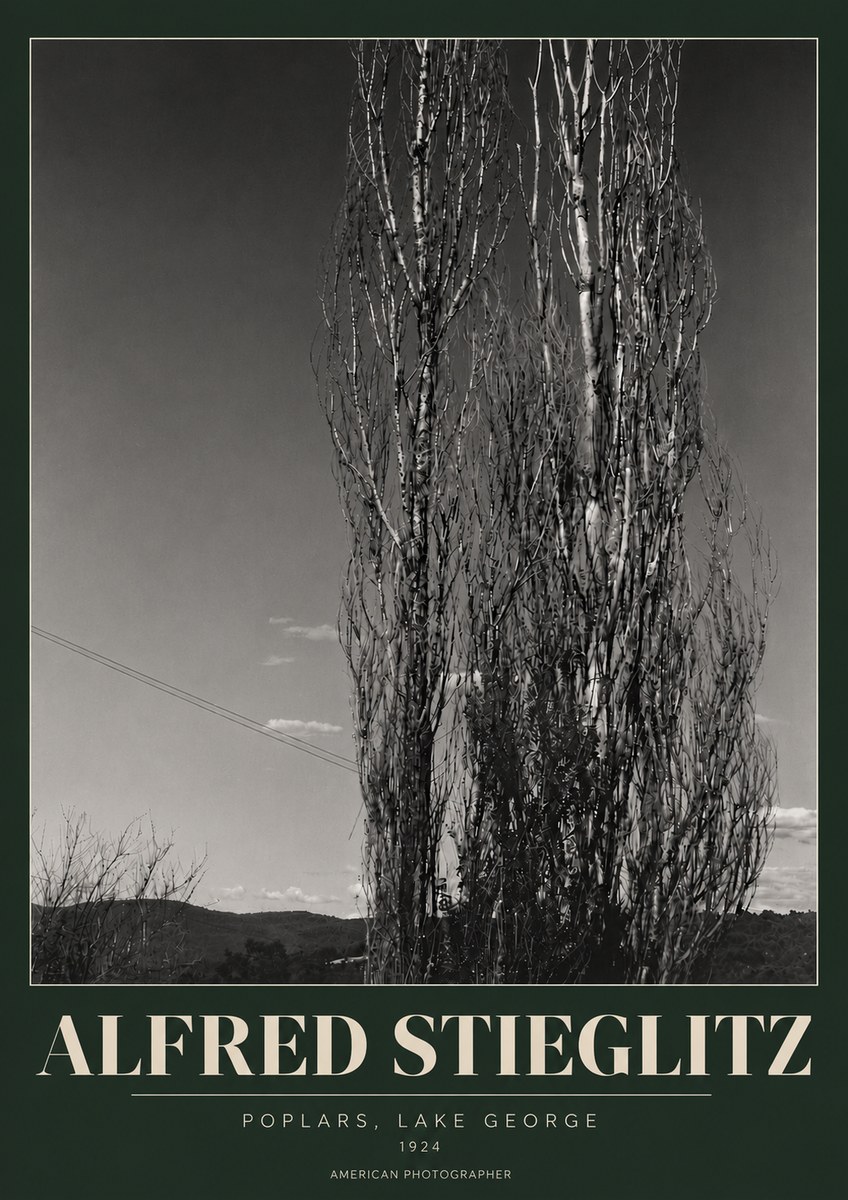 Alfred Stieglitz Trees - Lake George, 1921 No6 - Poster