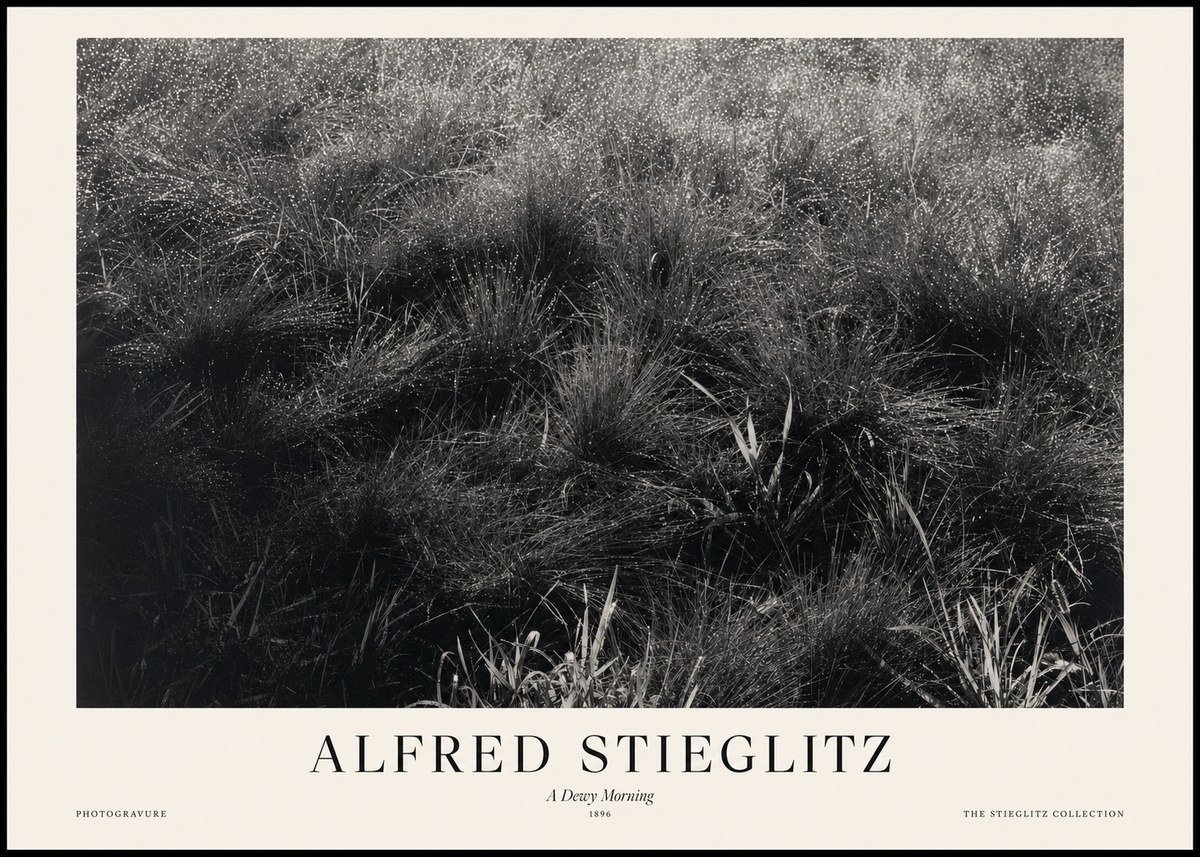 Alfred Stieglitz A Dewy Morning No1 - Poster
