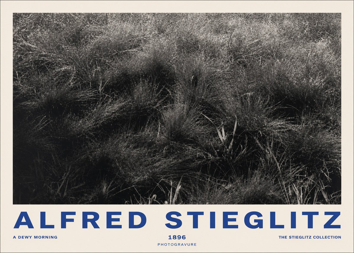 Alfred Stieglitz A Dewy Morning No2 - Poster